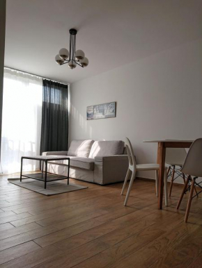 Warsaw Center's Apartment